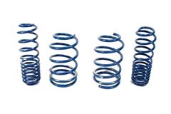 05-09 Mustang Lowering Springs Components