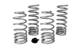 94-04 Mustang Lowering Springs & Components